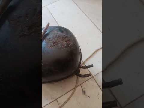 تبديل زيت الكمبروسر