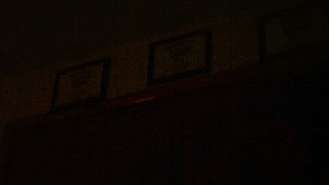 DCUO Nature healer bug form loadout