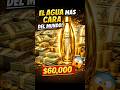 AGUA DE 60 000 DOLARES Pagarias Tanto Por Esta Botella De Agua mp3