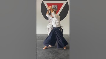 Aikido Shihonage #martialfusion