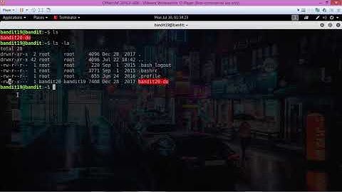 OverTheWire Bandit Level 19 Solution. Level 19-20 Walkthrough.