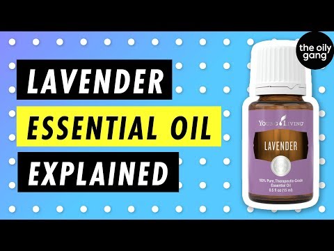 5 BENEFITS of Lavender Essential Oil