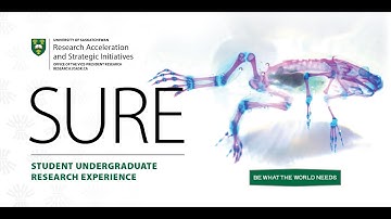 EDI Equity, Diversity and Inclusion in Research