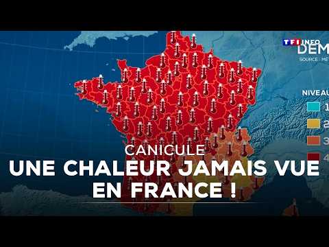 Canicule : la France étouffe, une chaleur jamais vue frappe le pays｜TF1 INFO