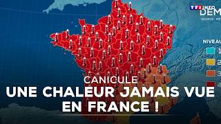 Canicule : la France étouffe, une chaleur jamais vue frappe le pays｜TF1 INFO