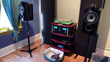 RME ADI-2 VS MYTEK LIBERTY 🧬🧬🧬🧬