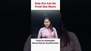 Trick To Remember Hierarchical Classification