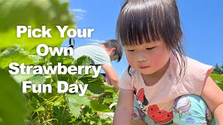 Pick Your Own Strawberry Fun Day Chloe Vlogs