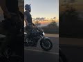 Arrow to the dawn. Instagram Reels Videos #shorts