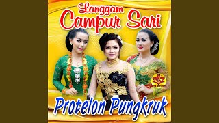 Protelon Pungkruk (feat. Vivi Velota)