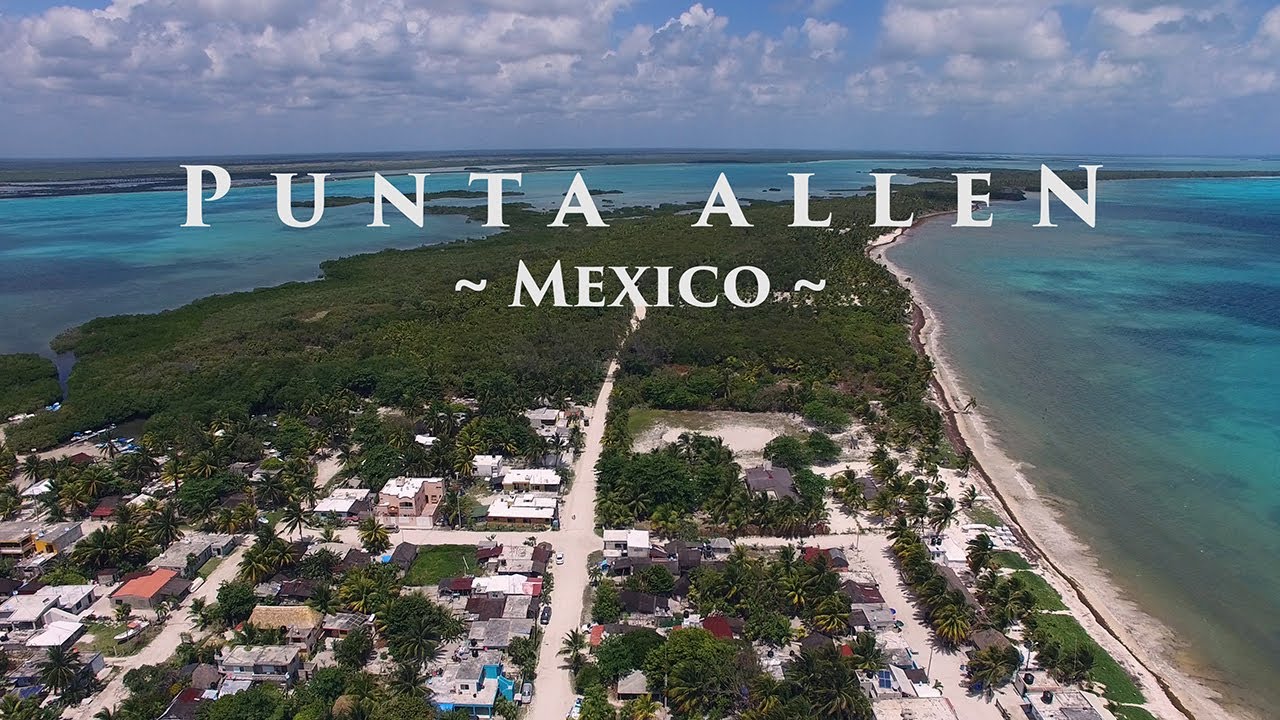 Punta Allen
