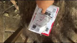 Unboxing BLU Energy X 2 ....again