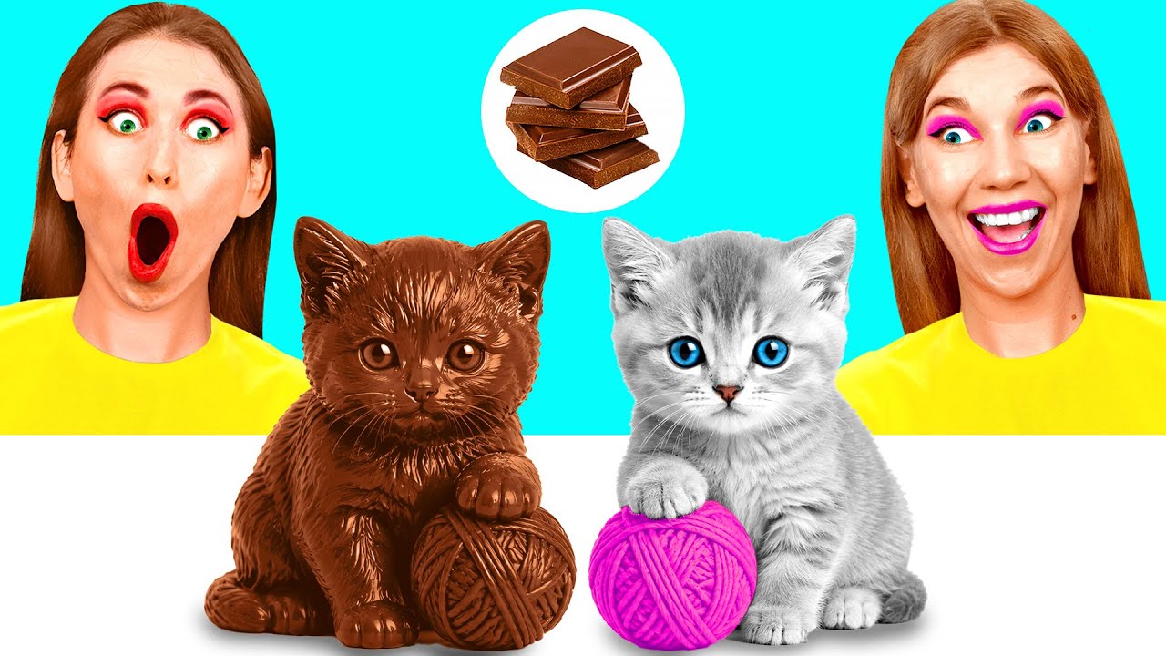 チョコレートの食べ物 vs 本物の食べ物のチャレンジ | 面白い瞬間