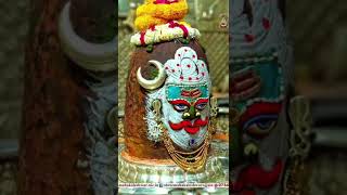 #mahakal sarkar#teri jai Ho mahakal#shortvidieo #ujjainmahakal #shortvayral #ujjain #mahakalmandir