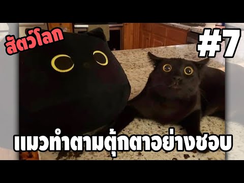 Ep.7 สัตว์โลกกวนตีน SS2 - [ พากย์นรก ] | easy boy