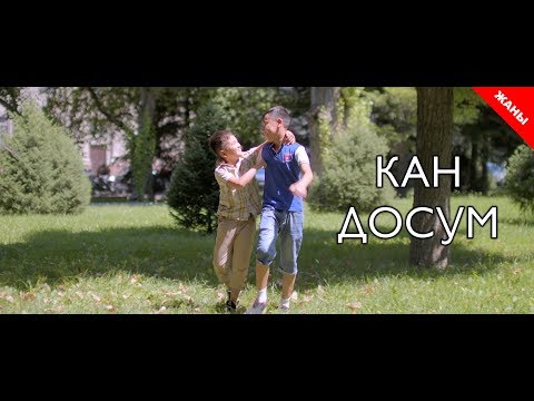 Video: Жашоо кан кокондор кайра жарайбы?