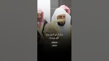 هَـٰذَا هُدࣰىۖ وَٱلَّذِینَ كَفَرُوا۟ بِـَٔایَـٰتِ رَبِّهِمۡ |سورة الجاثية |فضيله الشيخ ماهر المعيقلي
