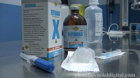 ¿Cómo se llama el medicamento para hacer dormir a un perro?