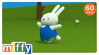 Miffy Becomes a Ballerina | Miffy | Cartoons for kids