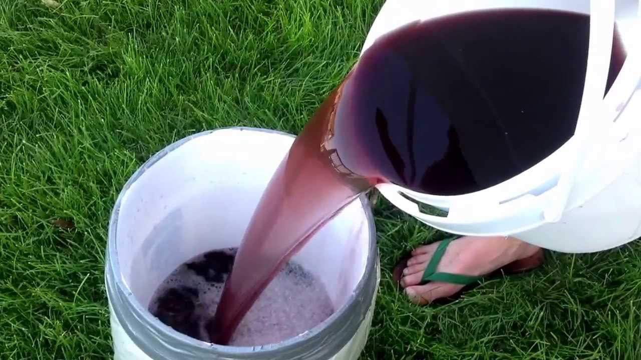 Sour diesel ice hash water Cali connection seeds