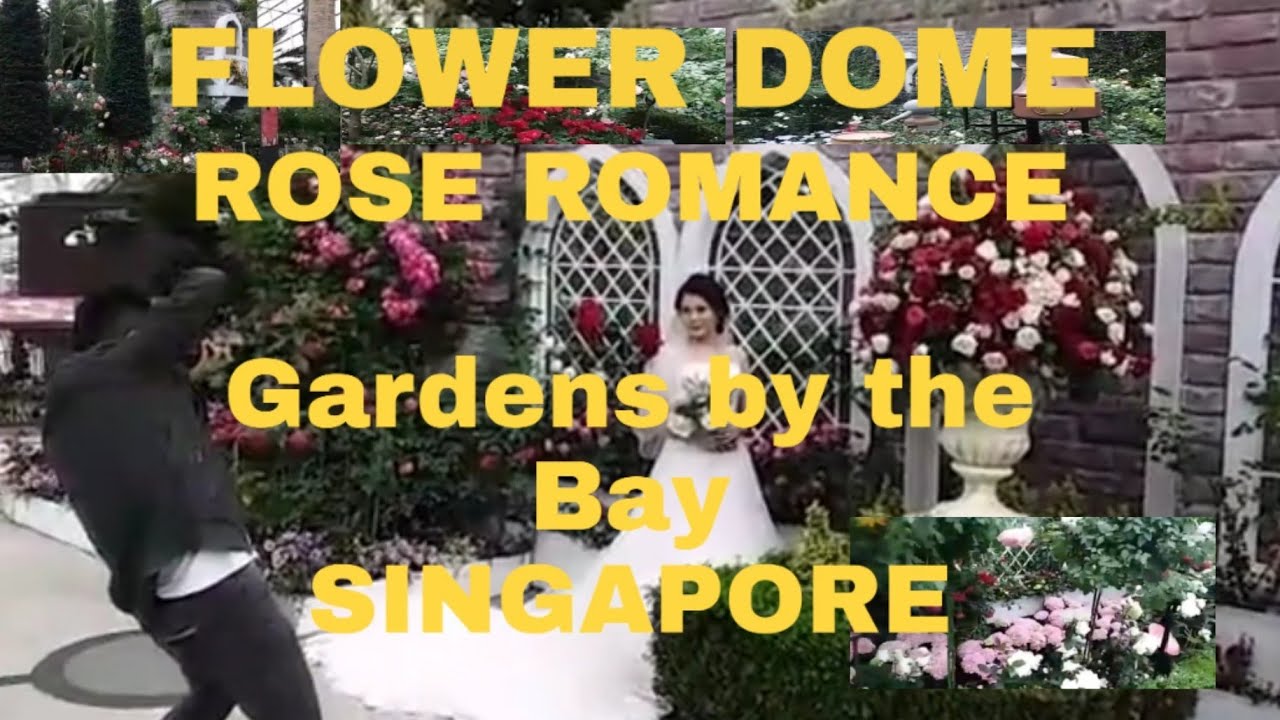 ROSE ROMANCE AT FLOWER DOME IN GARDENS BY THE BAYBest for June Bride