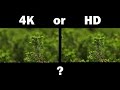 Shooting 4k or HD - Pros and Cons