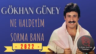 Gökhan Güney - Ne Haldeyim Sorma Bana ( ) Resimi