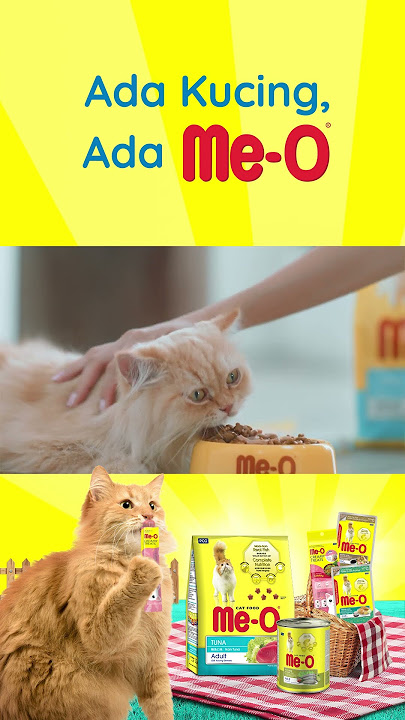 Me-O Creamy Treats: Kucing Kamu Pasti Suka! #shorts