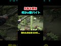 【まばたき厳禁】こんな水たまりで釣れた魚はまさかの…