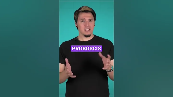 The way this snail eats is terrifying. #shorts #throwbackthursday  #science #SciShow