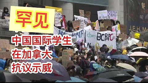 留學移民加拿大|是什麼讓來自中國的國際學生在加拿大示威遊行？BC突然改省提名政策公平嗎？如何應對這些變化？聊聊我的看法。Protest against BCPNP updates - 天天要聞