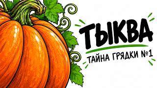 Full PUMPKINS AREN'T WHAT THEY SEEM! The whole truth they've been hiding Update
