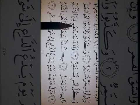 ولقد جاءهم من الانباء ما فيه مزدجر حفص ورش خلف عن حمزه عبد المنعم الطوخي
