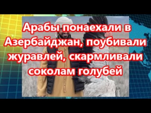 Видео: Азербайжаны хоол: гол шинж чанарууд