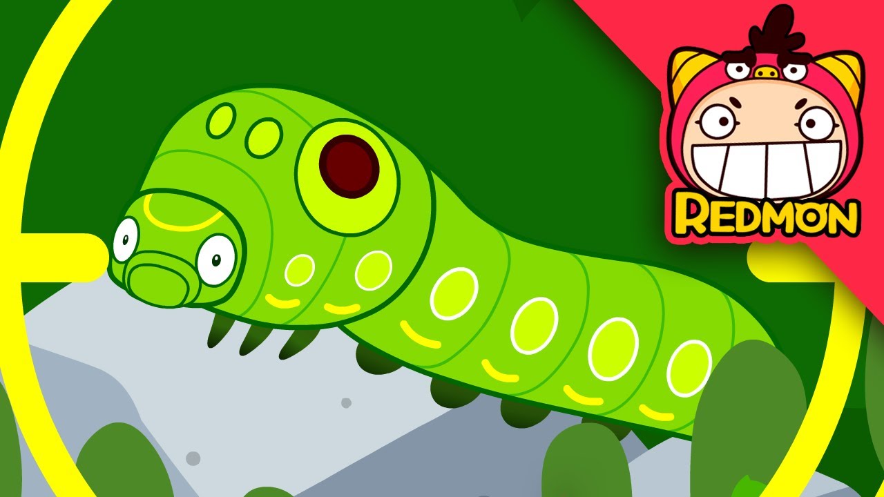 Swallowtail Butterfly Caterpillar | insect rescue team - YouTube