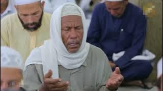 Ya Rabbi Bil Mustafa