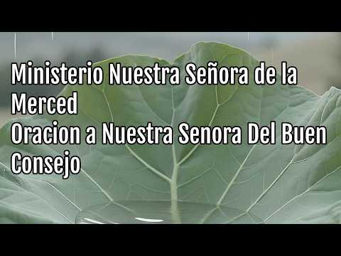 Ministerio Nuestra Señora De La Merced - Oracion a Nuestra Senora Del Buen Consejo (Lyric Video)