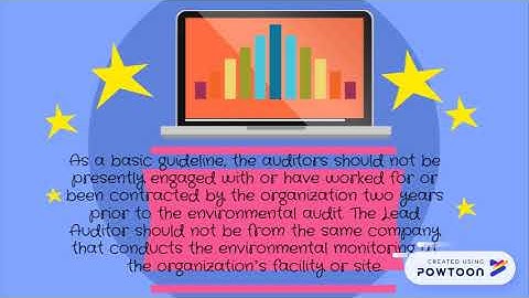 roles and responsibility External Auditor