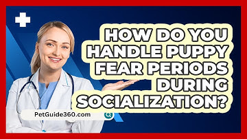 How Do You Handle Puppy Fear Periods During Socialization? - PetGuide360.com