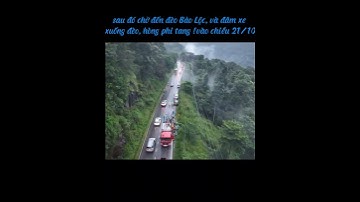 Dùng Xyanua Sát Hại Bạn Trai-Sau Đó lao Xe Xuống Đèo Bảo Lộc-Hòng Phi Tang🍂