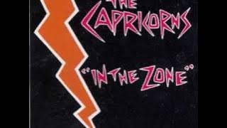 Song of the Day 1-20-10: The New Sound by The Capricorns