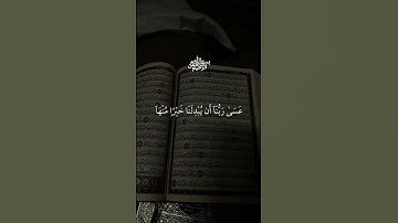 #ماهر_المعيقلي #تلاوة_خاشعة #الرقية_الشرعية #اكسبلور #القرآن_يشفي #ارح_قلبك #راحة_نفسية #دويتو #لايك