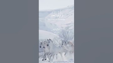 #الله #ترند #دعاء #اذكار #تيك_توك #اكسبلور #لايك #استغفرالله ##قرآن_كريم_راحة_نفسية #سبحان_الله