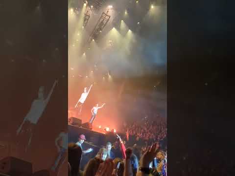 Måneskin live ‘Beggin