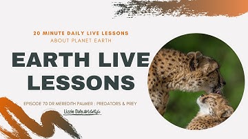 Earth LIVE Lesson with Dr Meredith Palmer : Stayin