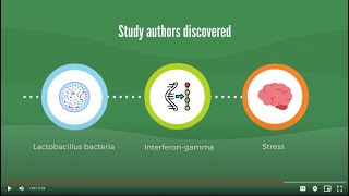 DMHB 29: Lactobacillus Bacteria in the Gut Protect Against Stress in Mice