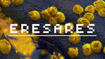 Syntakt | Digitakt | Digitone - Eresares