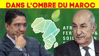 Phosphates et Afrique : L'Algérie, apprenti sorcier dans le jardin africain du Maroc