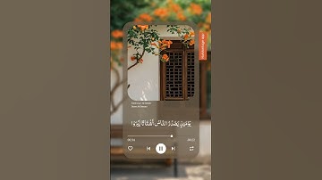 سورة الزلزلة بصوت الشيخ ياسر الدوسري 😊💚 #قرآن_كريم #المصحف #ارح_قلبك #yasseraldossary #تلاوة_خاشعة