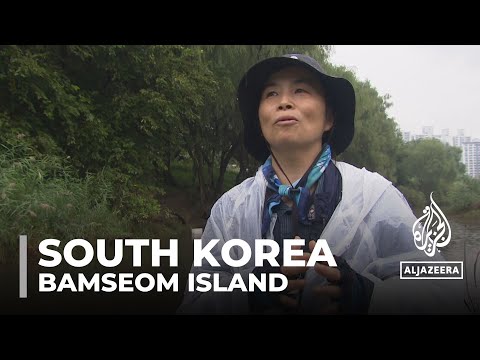 Bamseom Island